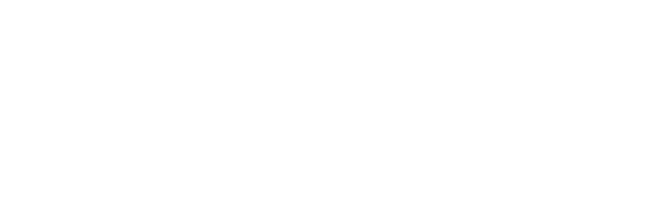 cavaro mens accessories